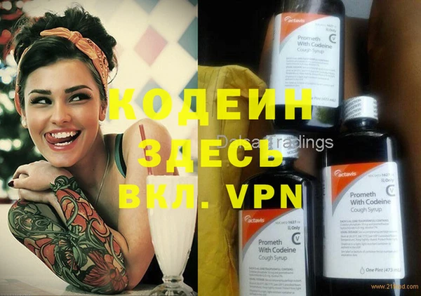сатива Баксан