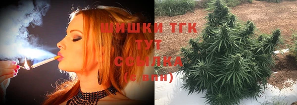 гидра Армянск